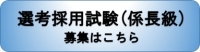 選考採用試験（係長級）