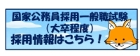 採用情報（大卒）